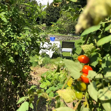 Flairhouse Parco Tatil Evi Gravedona